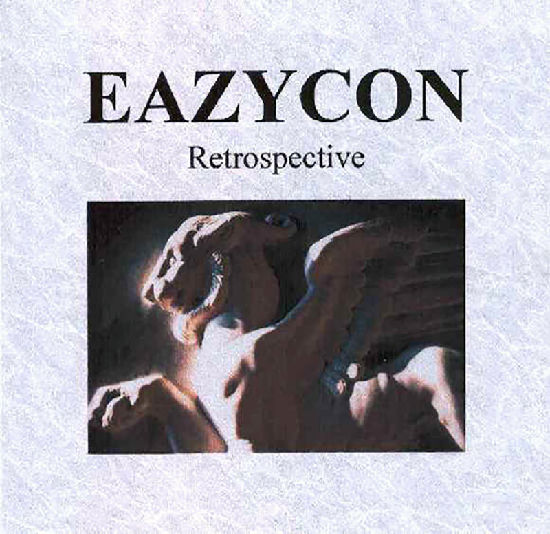 Eazycon - Retrospective